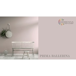 prima ballerina.jpg